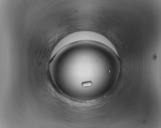 X0000112200039200908141445