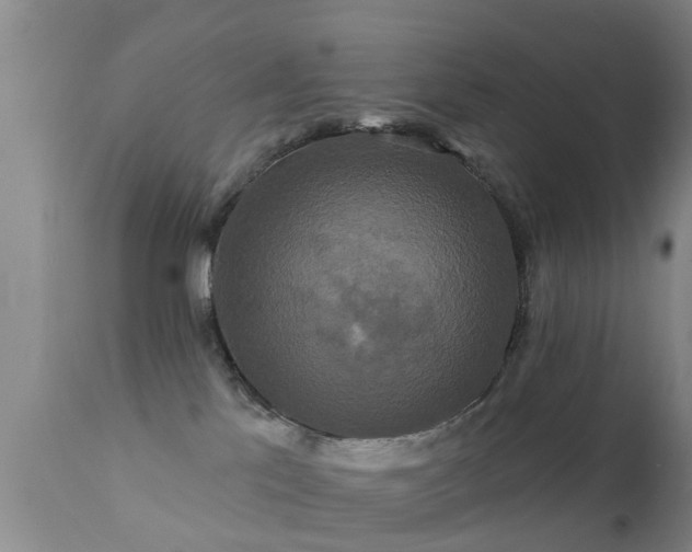 X0000112200041200908141445