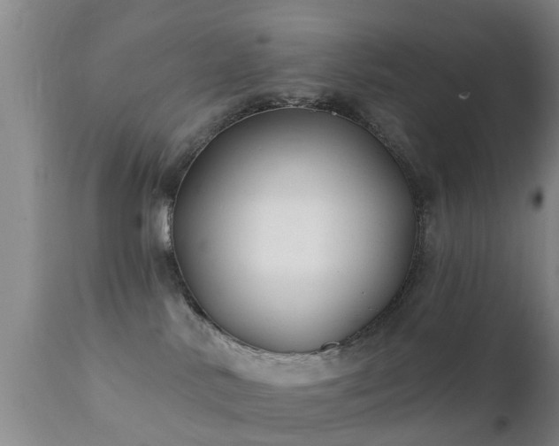 X0000112200042200908141444