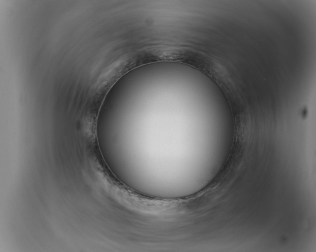 X0000112200044200908141444