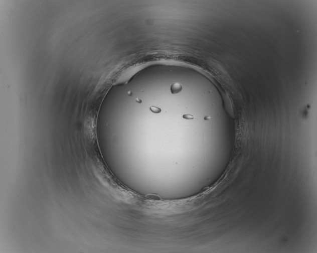 X0000112200045200908141444