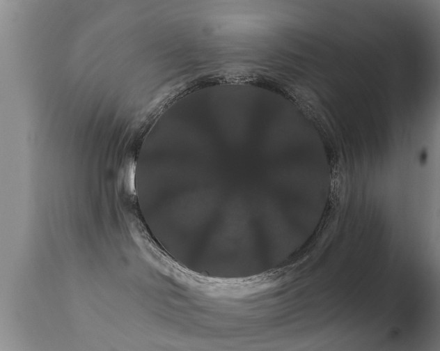 X0000112200046200908141444