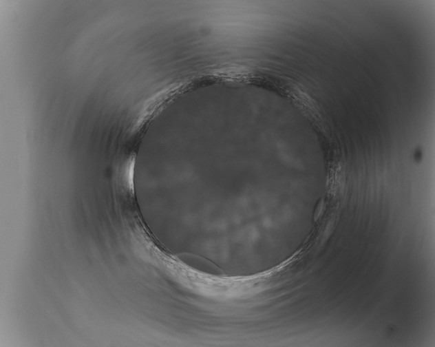 X0000112200047200908141444