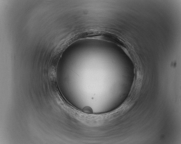 X0000112200048200908141444