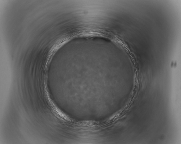 X0000112200049200908141444