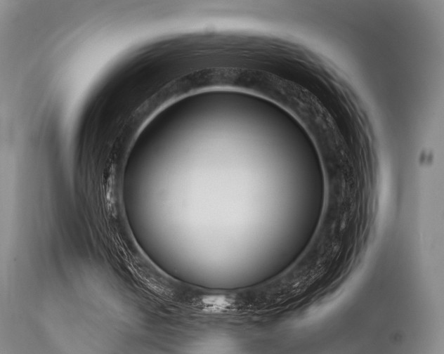 X0000112200050200908141444