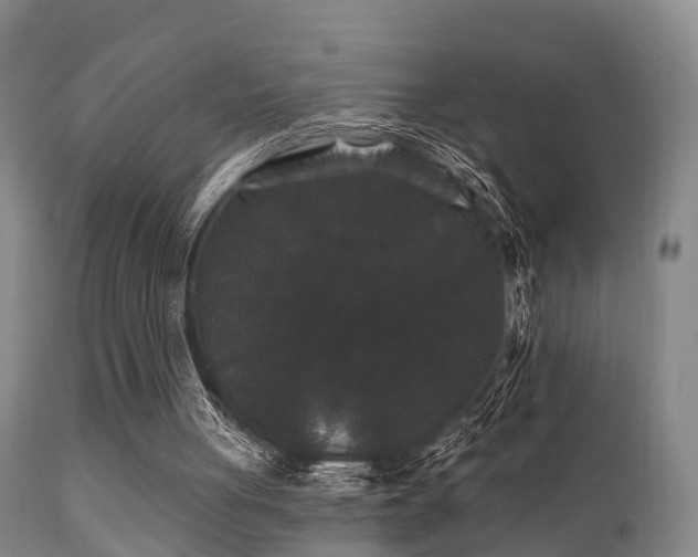 X0000112200051200908141444