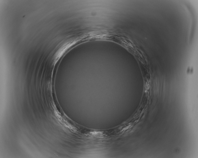 X0000112200052200908141444