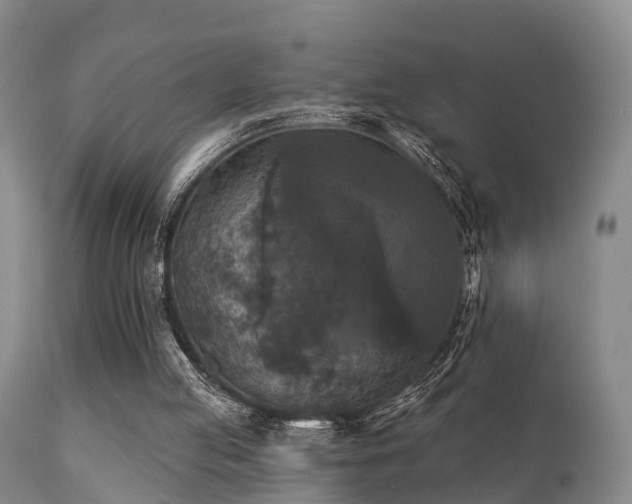 X0000112200053200908141444