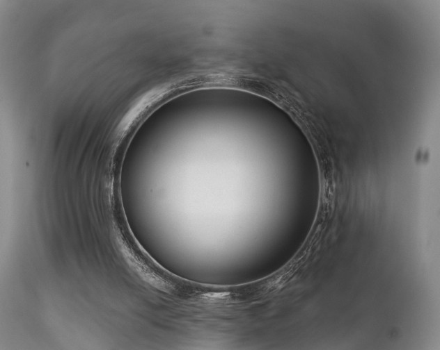 X0000112200054200908141444