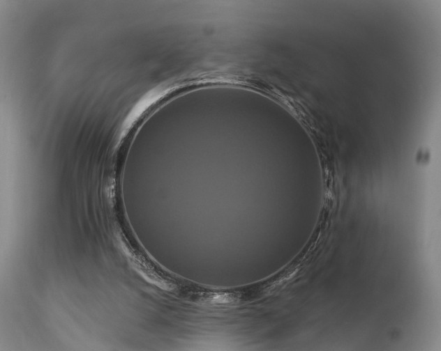 X0000112200056200908141444