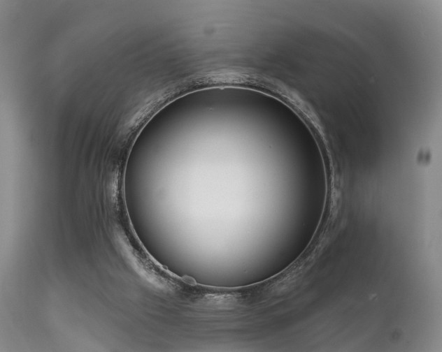 X0000112200057200908141444