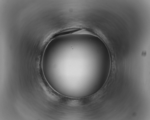 X0000112200058200908141444