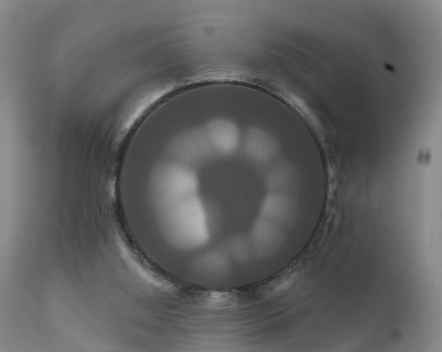 X0000112200060200908141444