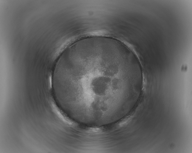 X0000112200061200908141444