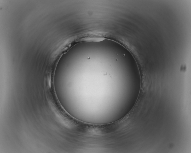 X0000112200062200908141444