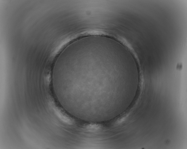 X0000112200063200908141444