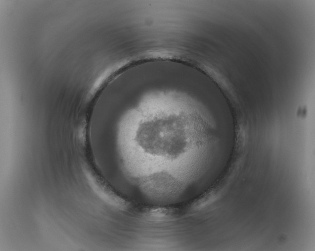 X0000112200064200908141444