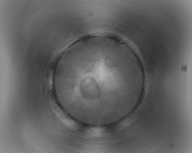 X0000112200065200908141444