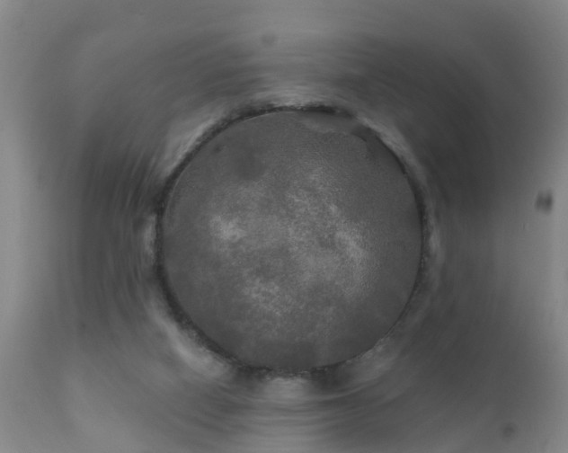 X0000112200066200908141444