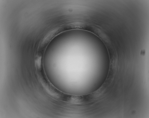 X0000112200070200908141444