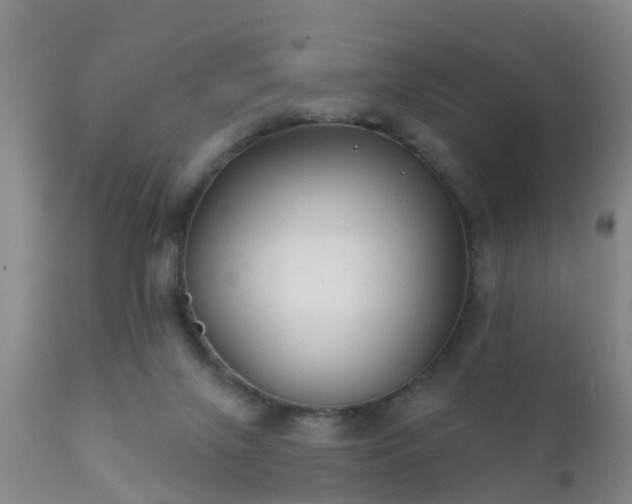 X0000112200071200908141444