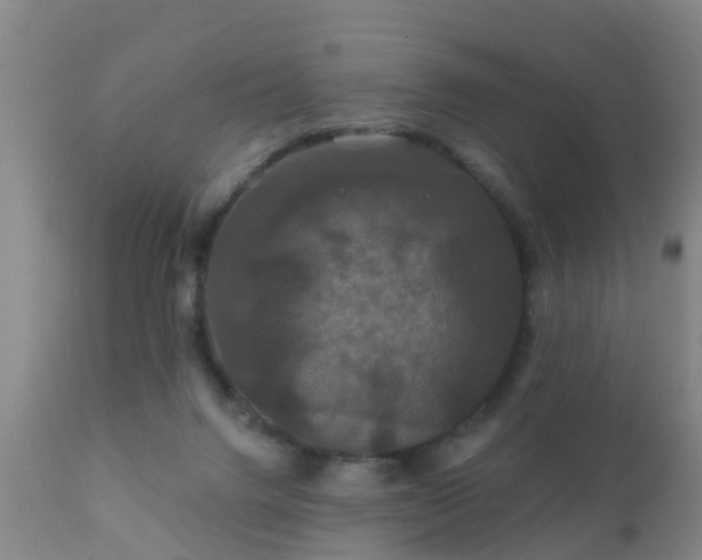 X0000112200072200908141444