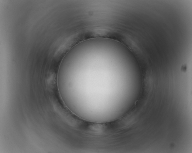 X0000112200079200908141444