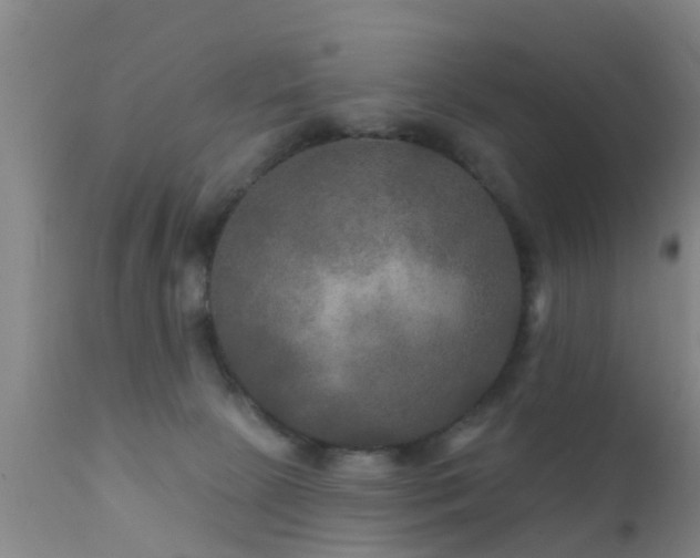 X0000112200081200908141444