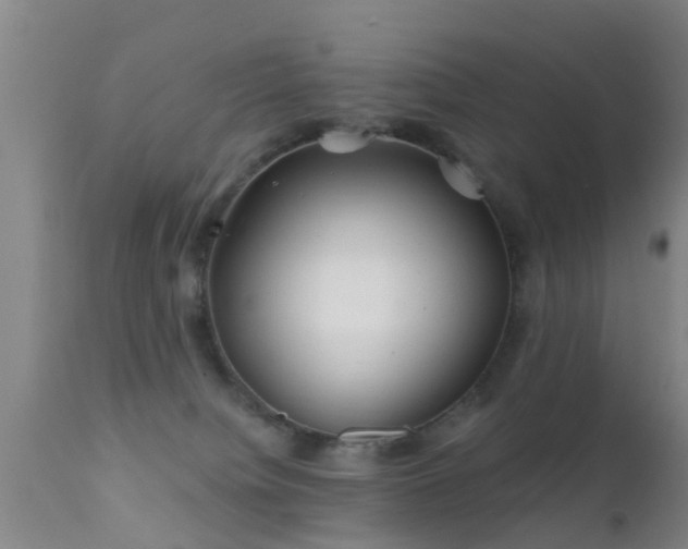 X0000112200084200908141444