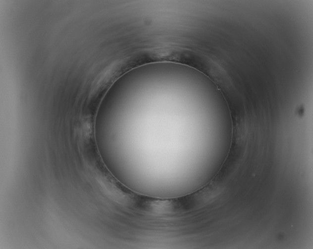 X0000112200085200908141444