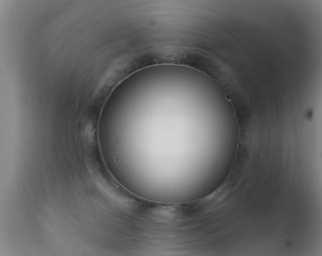 X0000112200086200908141444