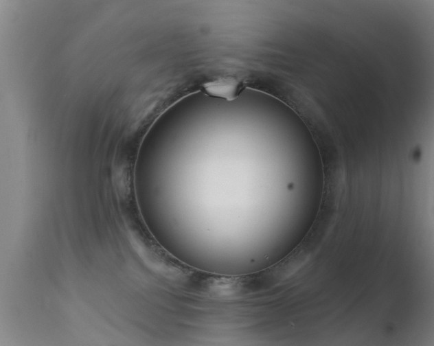 X0000112200088200908141444