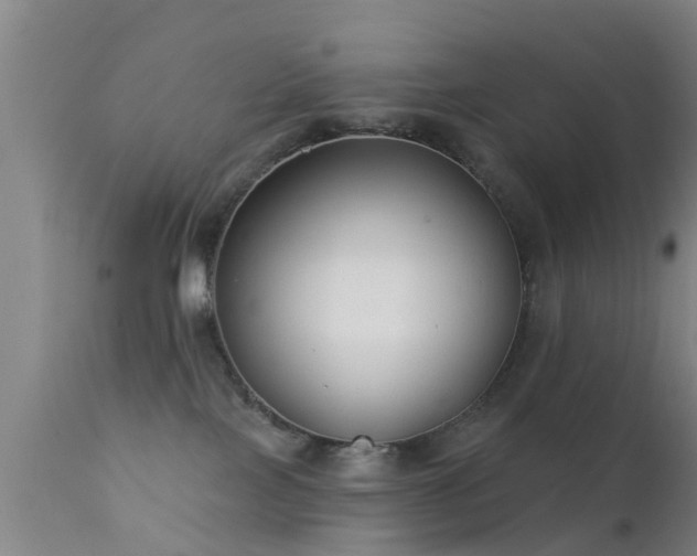 X0000112200089200908141444