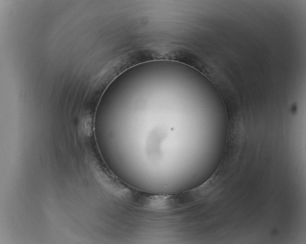 X0000112200090200908141444