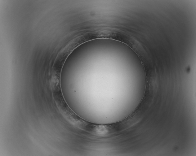 X0000112200091200908141444