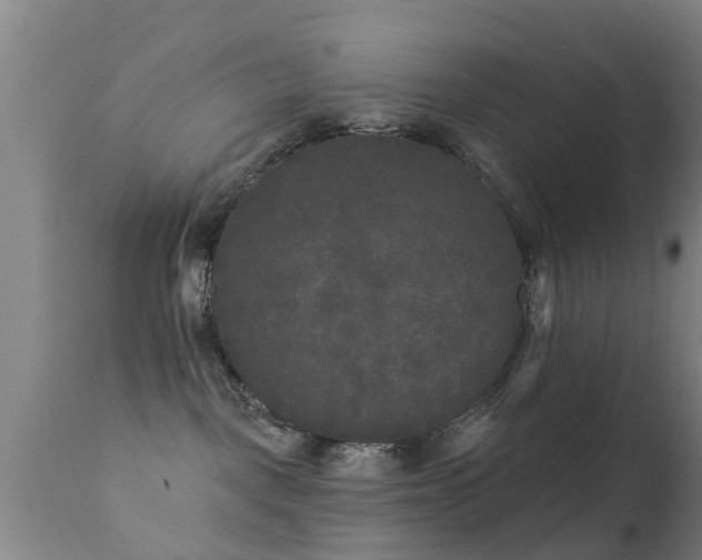 X0000112200093200908141444