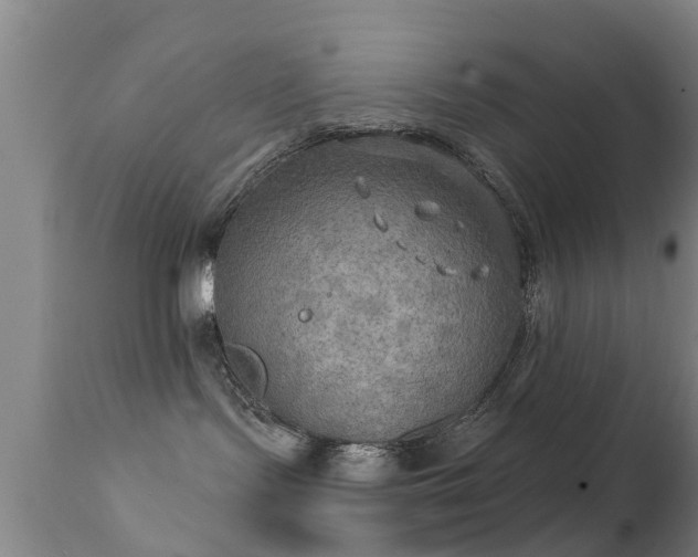 X0000112200095200908141444