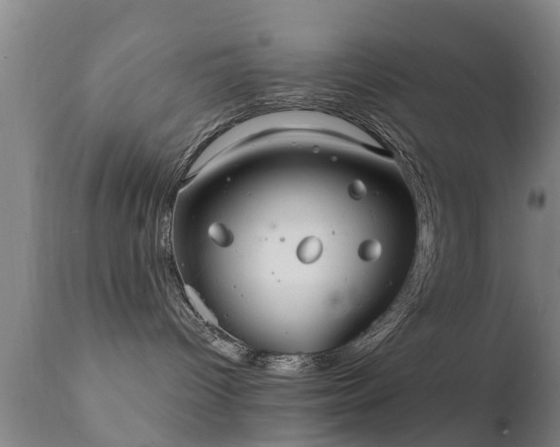 X0000112200096200908141444