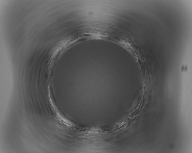 X0000112200097200908141444