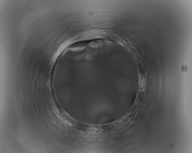 X0000112200099200908141444