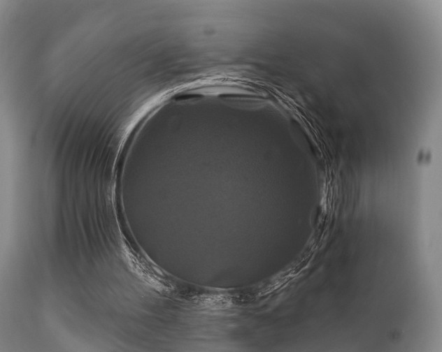 X0000112200100200908141444