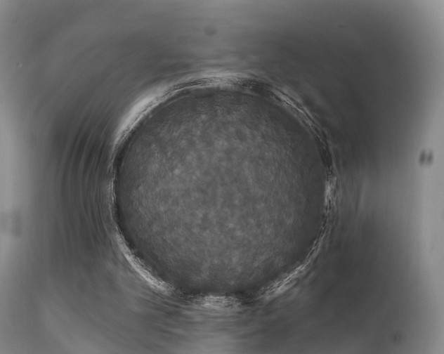 X0000112200101200908141444