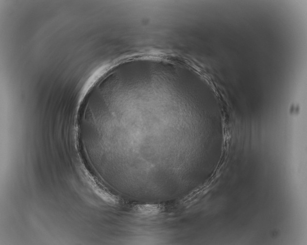 X0000112200102200908141444