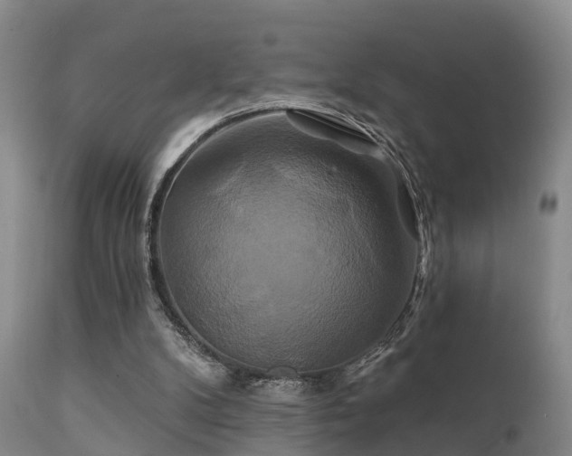 X0000112200104200908141444