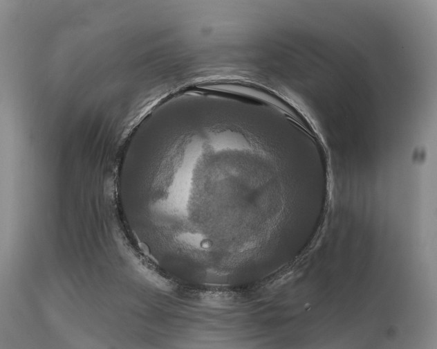 X0000112200105200908141444