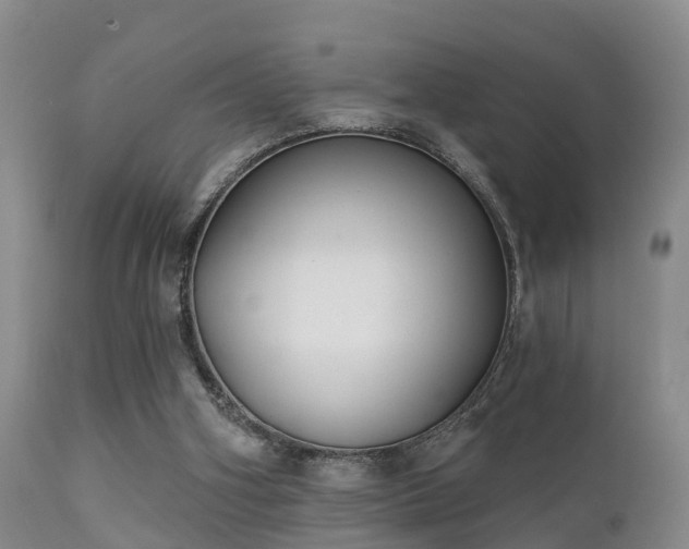 X0000112200106200908141444