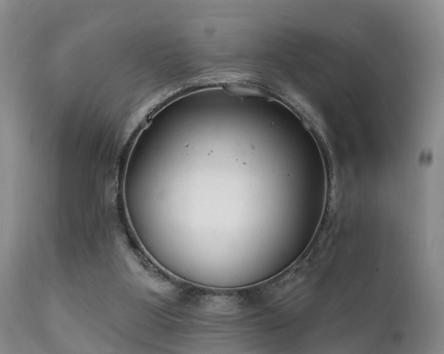 X0000112200107200908141444