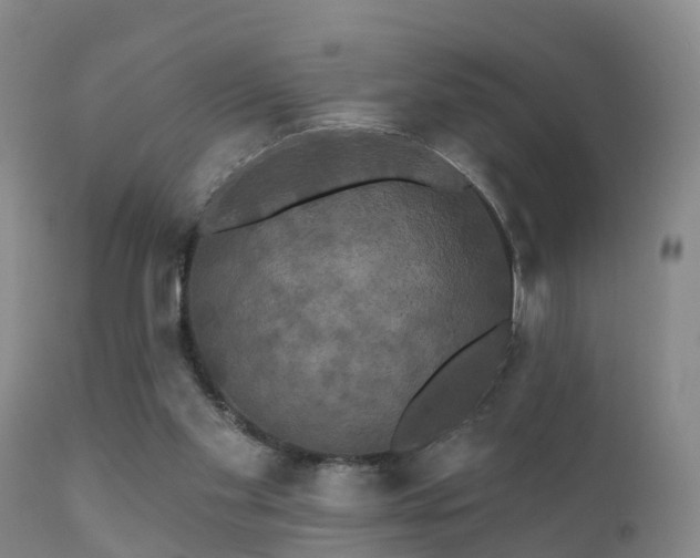 X0000112200109200908141444