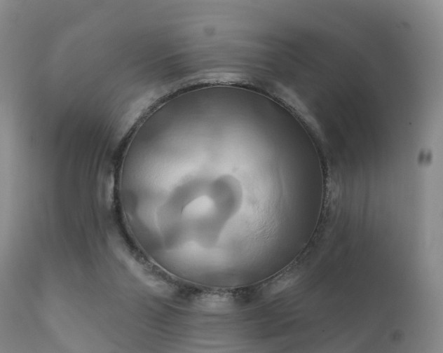 X0000112200110200908141443